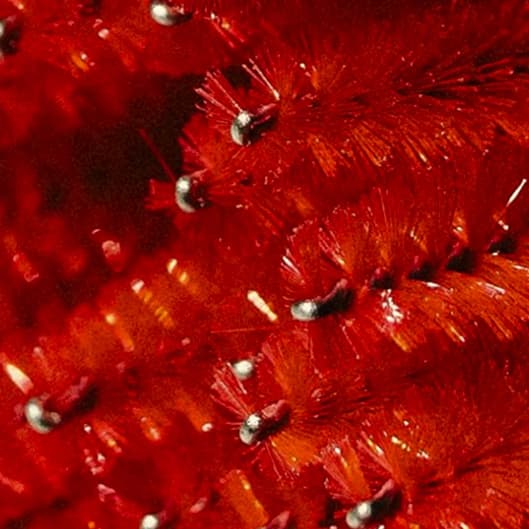 Monthly Membership at The Rich Lounge in Florissant, MO